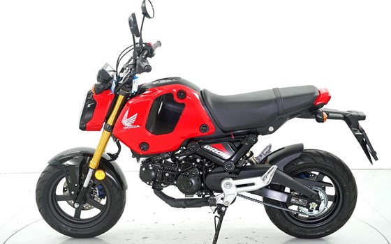 Motorrad Occasion Honda MSX 125 - Bild 5