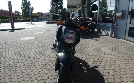 Neufahrzeug Honda MSX125 Grom - Bild 3