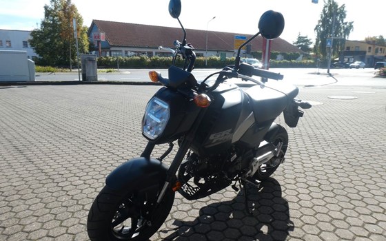 Neufahrzeug Honda MSX125 Grom - Bild 4