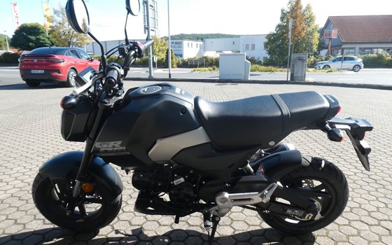 Neufahrzeug Honda MSX125 Grom - Bild 5