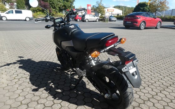 Neufahrzeug Honda MSX125 Grom - Bild 6