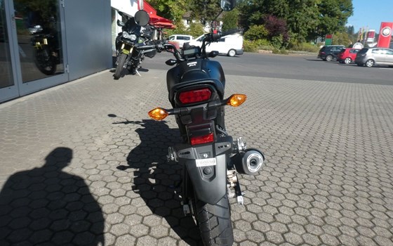 Neufahrzeug Honda MSX125 Grom - Bild 7