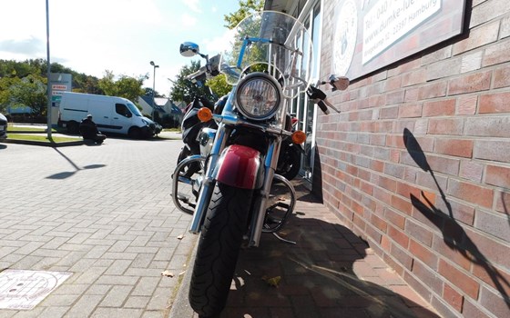 Gebrauchtmotorrad Suzuki VL 800 Volusia - Bild 3