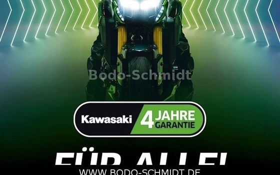 Gebrauchtmotorrad Kawasaki Ninja e-1 - Bild 5