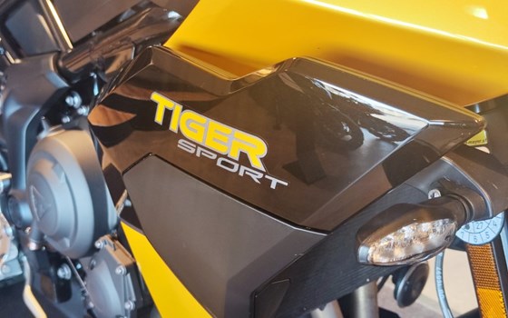 Gebrauchtmotorrad Triumph Tiger Sport 800 - Bild 9