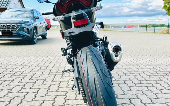 Neufahrzeug Kawasaki Z900 - Bild 3