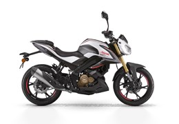 Neumotorrad QJ Motor SRK 125 S