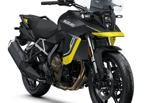 Neufahrzeug Suzuki V-Strom 800 - Bild 11
