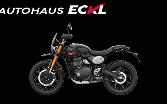Neufahrzeug Triumph Scrambler 400 X - Bild 1