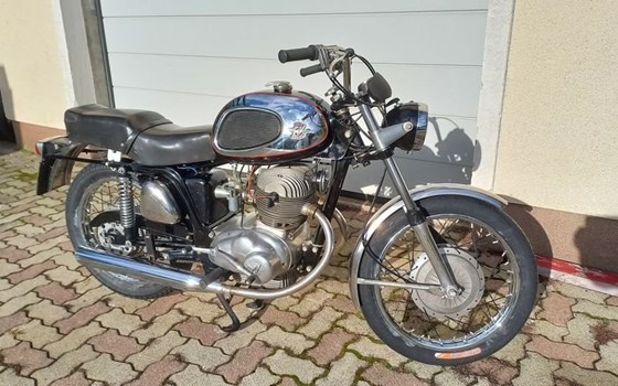 Gebrauchtmotorrad MV Agusta Bicilindrica 250 - Bild 1 Gebrauchtmotorrad MV Agusta Bicilindrica 250 - Bild 1