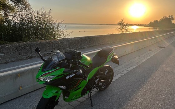 Gebrauchtmotorrad Kawasaki Ninja 400 - Bild 4