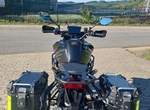 Angebot QJ Motor SRT 900 SX