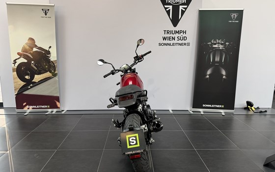 Gebrauchtmotorrad Benelli Leoncino 500 - Bild 4