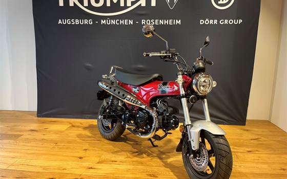 Neufahrzeug Honda Dax 125 - Bild 5