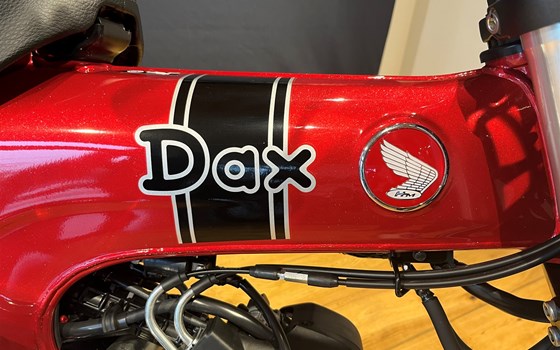 Neufahrzeug Honda Dax 125 - Bild 6
