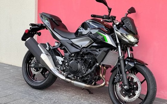 Neufahrzeug Kawasaki Z 500 - Bild 4