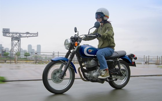 Gebrauchtmotorrad Kawasaki W230 - Bild 10