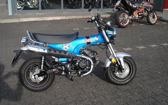 Gebrauchtmotorrad Honda Dax 125 - Bild 2