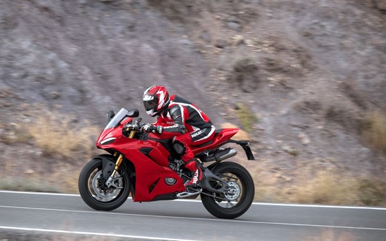 Neufahrzeug Ducati Panigale V2 - Bild 2