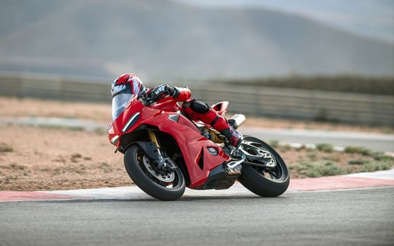 Neufahrzeug Ducati Panigale V2 - Bild 7