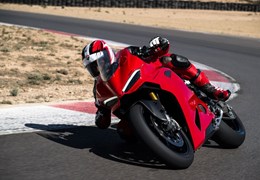 Neumotorrad Ducati Panigale V2 S