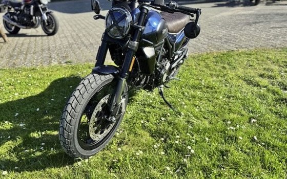 Neufahrzeug Ducati Scrambler Nightshift - Bild 3
