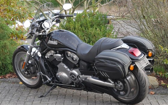 Gebrauchtmotorrad Harley-Davidson V-Rod Night Rod VRSCD - Bild 6