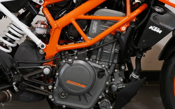 Gebrauchtmotorrad KTM 390 Duke - Bild 8