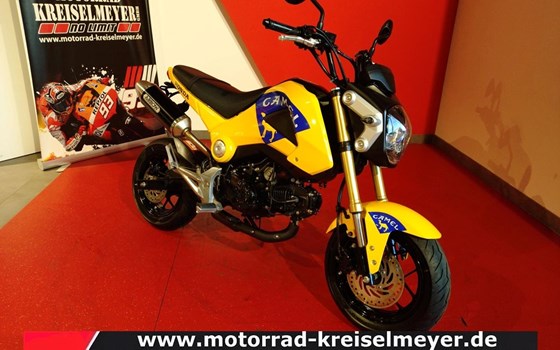 Gebrauchtmotorrad Honda MSX 125 - Bild 1