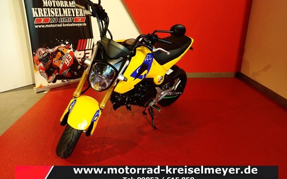 Gebrauchtmotorrad Honda MSX 125 - Bild 3