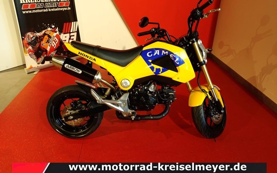 Gebrauchtmotorrad Honda MSX 125 - Bild 8