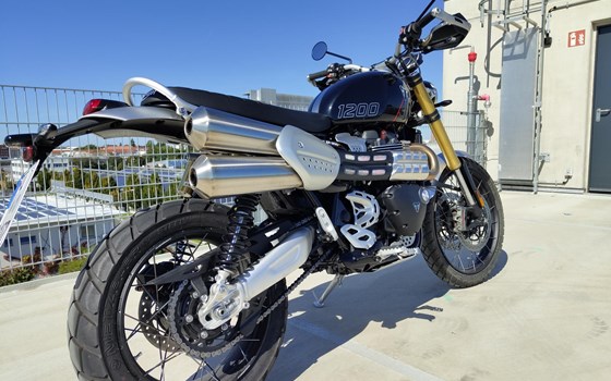 Gebrauchtmotorrad Triumph Scrambler 1200 XE - Bild 6