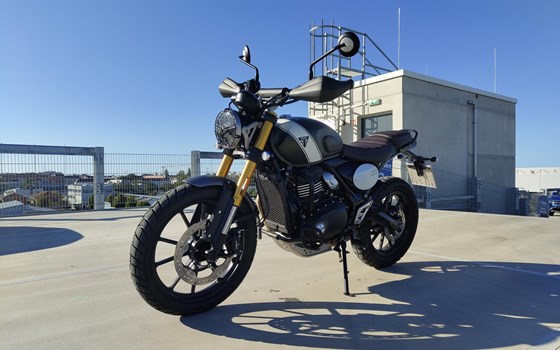 Gebrauchtmotorrad Triumph Scrambler 400 X - Bild 5