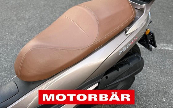 Gebrauchtmotorrad Sym HD 300 - Bild 3