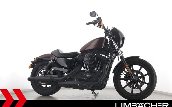 Gebrauchtmotorrad Harley-Davidson Sportster XL 1200NS Iron - Bild 1