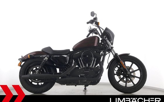 Gebrauchtmotorrad Harley-Davidson Sportster XL 1200NS Iron - Bild 10