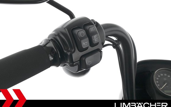 Gebrauchtmotorrad Harley-Davidson Sportster XL 1200NS Iron - Bild 19