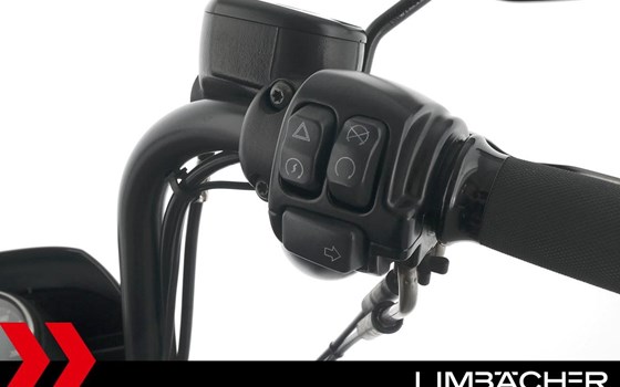 Gebrauchtmotorrad Harley-Davidson Sportster XL 1200NS Iron - Bild 20