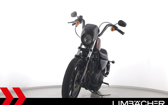 Gebrauchtmotorrad Harley-Davidson Sportster XL 1200NS Iron - Bild 3