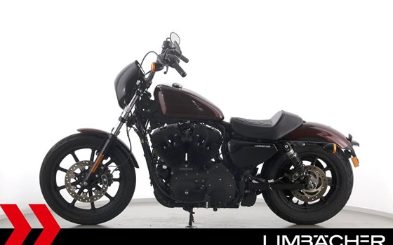 Gebrauchtmotorrad Harley-Davidson Sportster XL 1200NS Iron - Bild 5