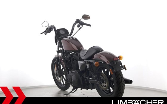 Gebrauchtmotorrad Harley-Davidson Sportster XL 1200NS Iron - Bild 7