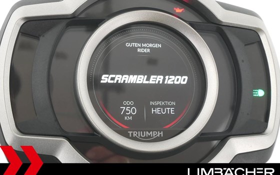 Gebrauchtmotorrad Triumph Scrambler 1200 XE - Bild 2