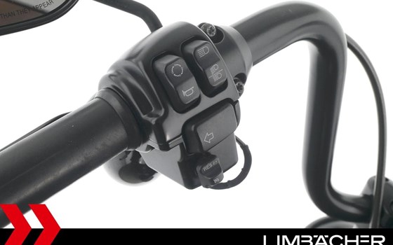 Gebrauchtmotorrad Harley-Davidson Dyna Low Rider S FXDLS - Bild 21