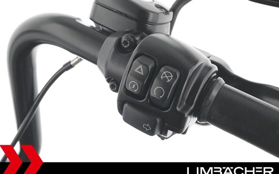 Gebrauchtmotorrad Harley-Davidson Dyna Low Rider S FXDLS - Bild 22