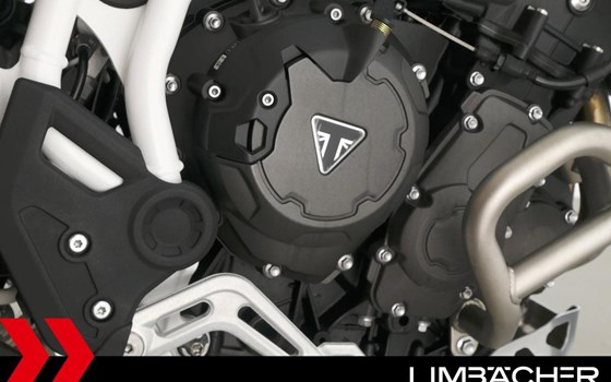 Gebrauchtmotorrad Triumph Tiger 900 Rally Pro - Bild 18