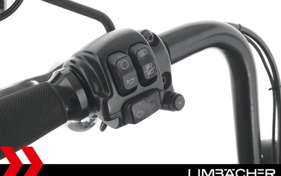 Gebrauchtmotorrad Harley-Davidson Dyna Fat Bob FXDF - Bild 20