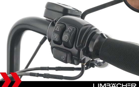 Gebrauchtmotorrad Harley-Davidson Dyna Fat Bob FXDF - Bild 21