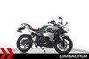 Kawasaki Ninja e-1
