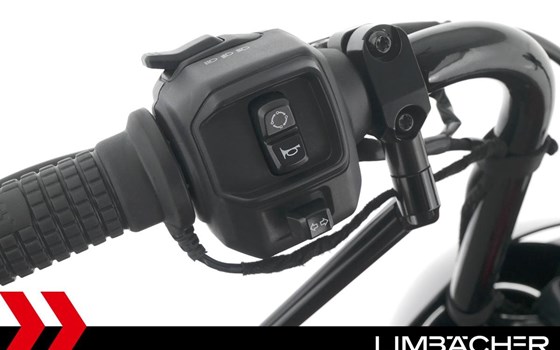 Gebrauchtmotorrad Harley-Davidson Nightster Special - Bild 21