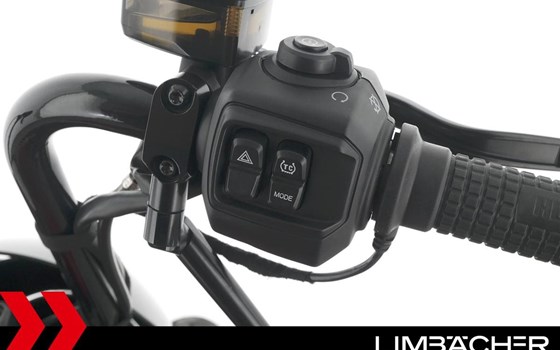 Gebrauchtmotorrad Harley-Davidson Nightster Special - Bild 22